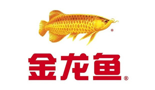 金龍魚